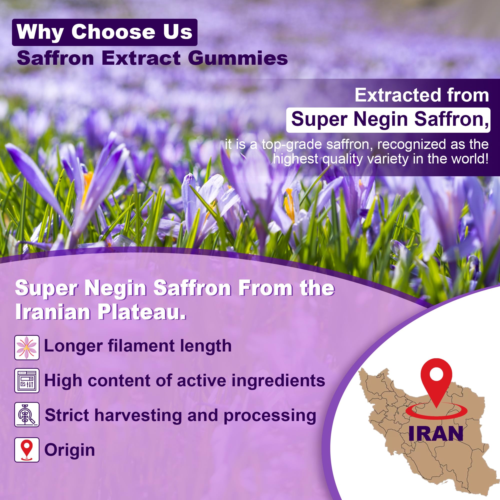 Ingredients label showing saffron, magnesium, B6, B12, D3 and zinc