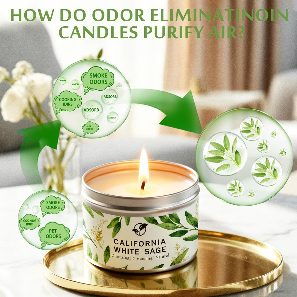 Wick detail and clean-burning design