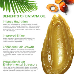 SAHAK Batana oil scalp massage demonstrates nourishment benefits