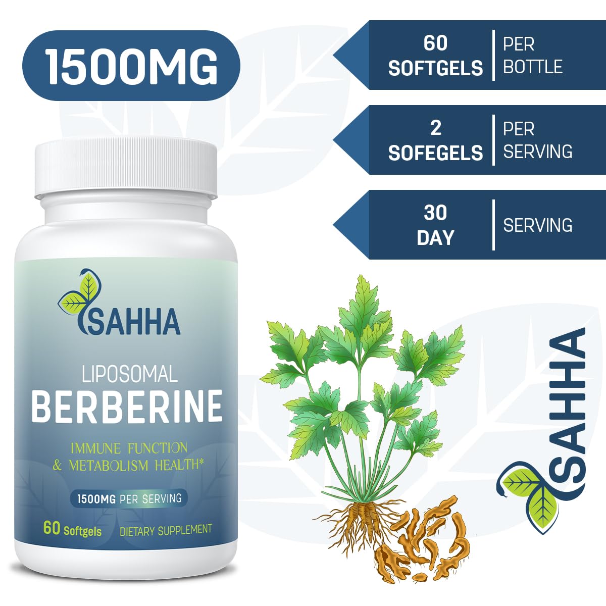 Lifestyle image illustrating men and women taking Sahha Berberine