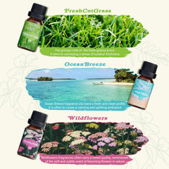 SalKing Nature Fragrance Oils Rain scent in amber bottle