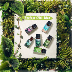 SalKing Nature Fragrance Oils Wildflowers scent in amber bottle