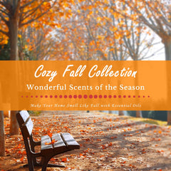 Gift packaging image for SALUBRITO Fall Fragrance Oils Set