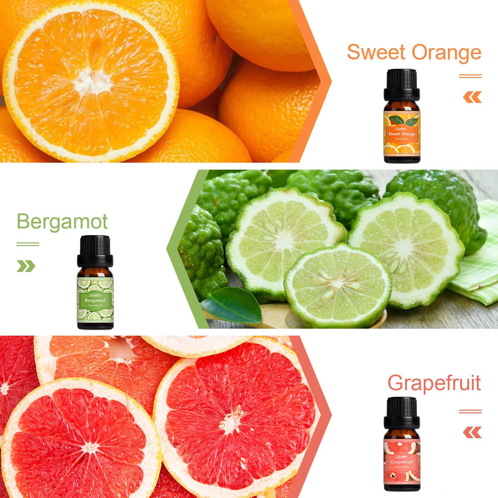 SALUBRITO Fresh Fruit Fragrance Oils Set – Coconut 10ml bottle