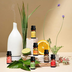 SALUBRITO Fresh Fruit Fragrance Oils Set – Packaging and display