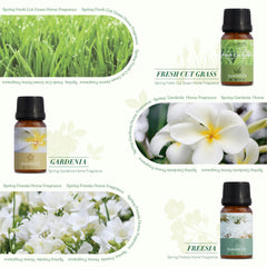 Assorted SALUBRITO spring fragrance oils featuring Gardenia, Freesia and Rose Geranium
