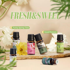 Ocean Breeze fragrance oil bottle from SALUBRITO Spring set