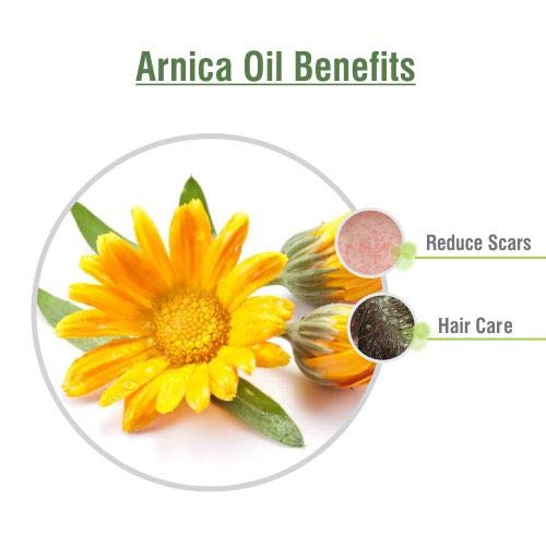 Close-up of Arnica Montana essential oil in amber bottle