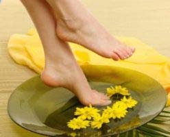 Arnica oil used in DIY blends and aromatherapy