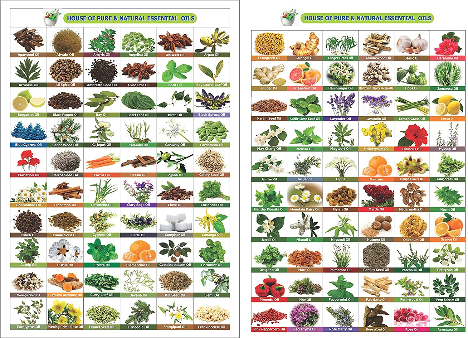 Salvia Babchi Oil packaging emphasizes purity and clear labeling.