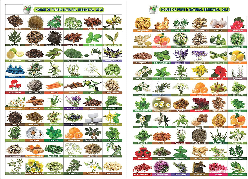 Salvia Babchi Oil packaging emphasizes purity and clear labeling.