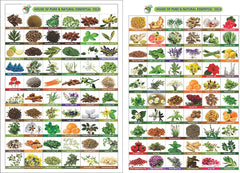 Salvia Babchi Oil packaging emphasizes purity and clear labeling.