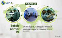 Seed extraction of Psoralea Corylifolia for Babchi oil