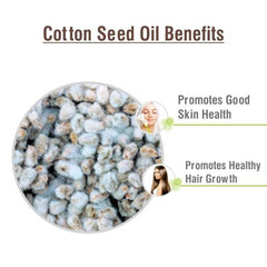 Aromatherapy setup with Salvia Cotton Seed Oil