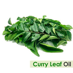 Salvia curry leaf oil dropper cap for precise application in blends.