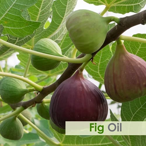 Close-up of Salvia Fig Oil bottle label - 100 ml