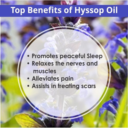 Salvia Hyssop oil product display - 15ml