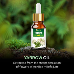 Salvia Yarrow Essential Oil usage scene for relaxing diffusing and rituals.