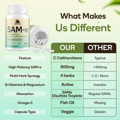Magnesium glycinate in the SAM-e capsule complex