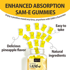 Ingredients pool showing NAC CoQ10 and other nutrients