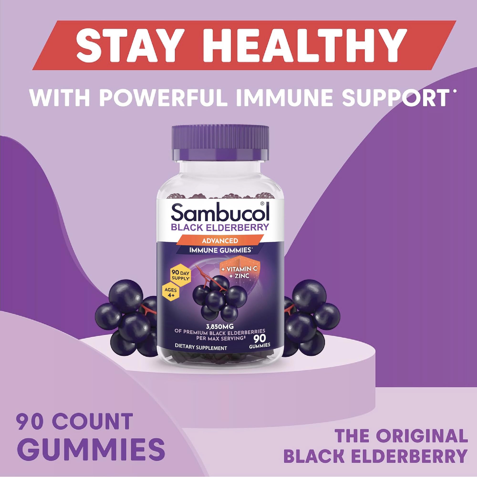 Premium Haschberg black elderberry used in Sambucol gummies