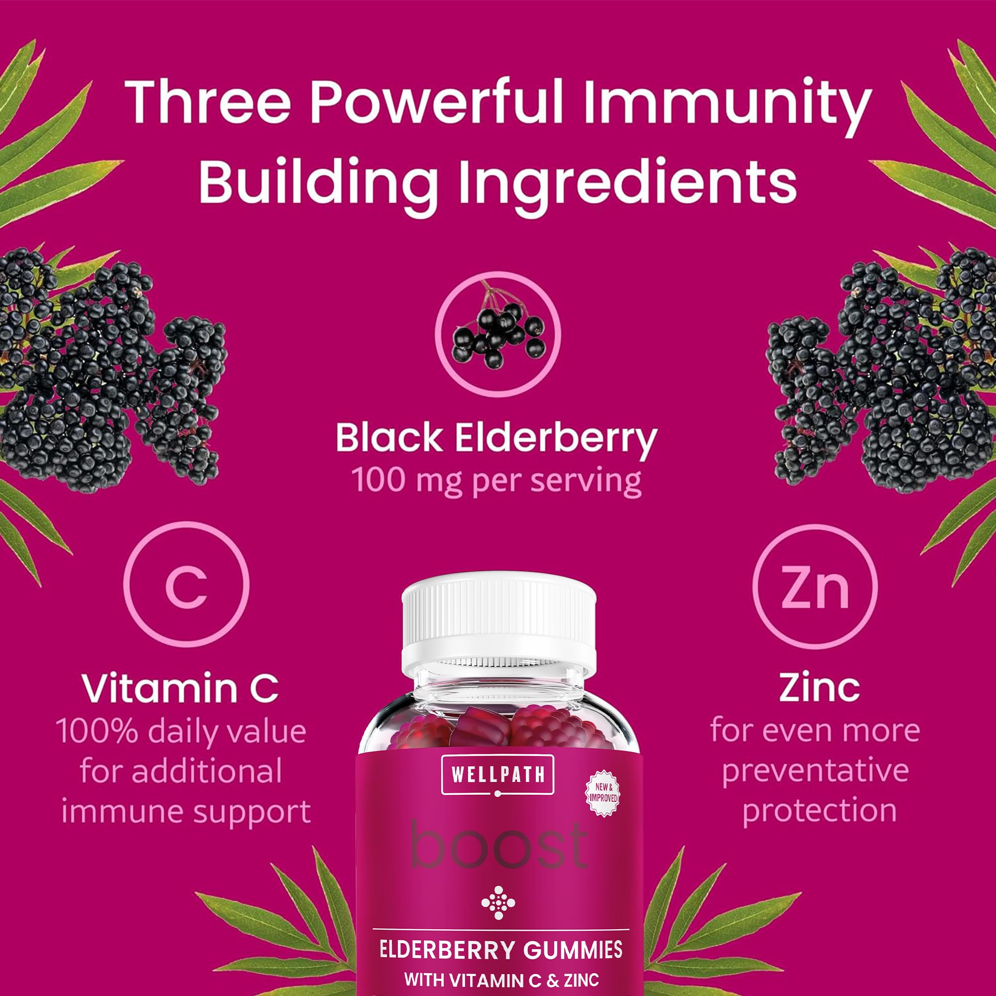 Sambucus black elderberry benefits illustration