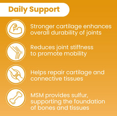 Close-up of the main ingredients: glucosamine, chondroitin, MSM, turmeric