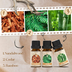Sandalwood, Cedar, Bamboo, Teak, Vetiver, Forest Pine essential oils