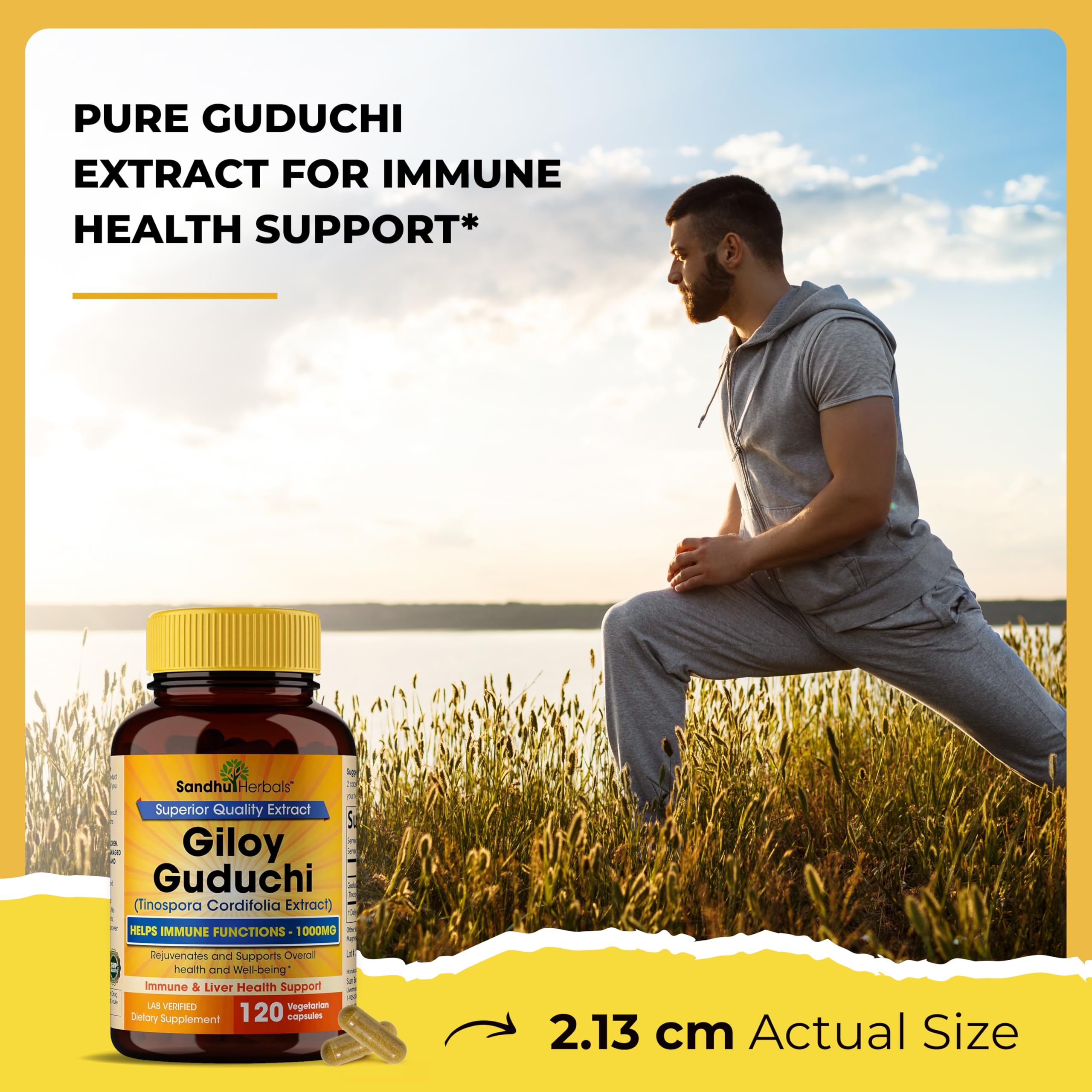 Non-GMO badge on Giloy powder packaging