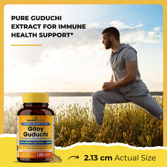 Non-GMO badge on Giloy powder packaging