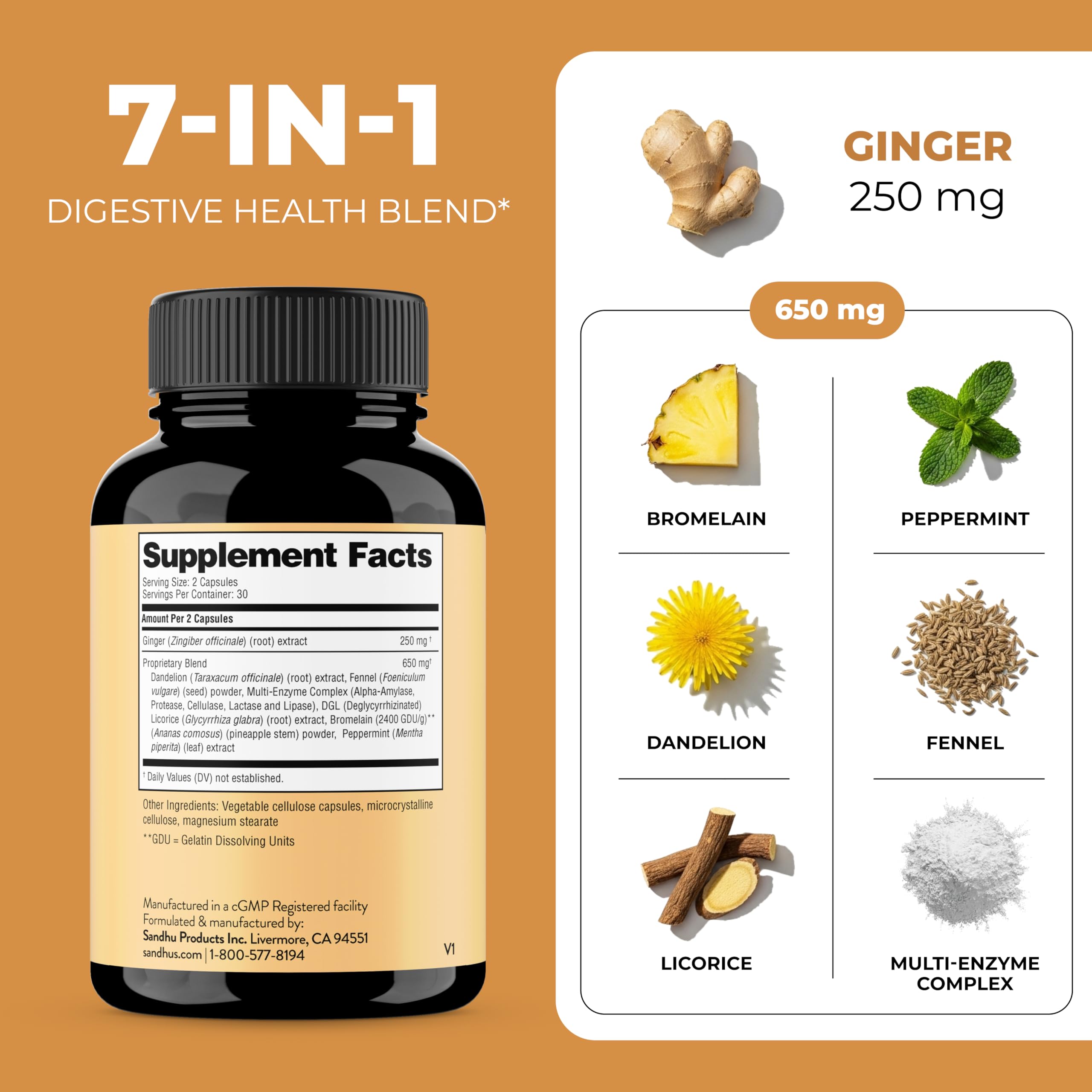 Herbal blend of ginger, dandelion, and fennel representing the formula