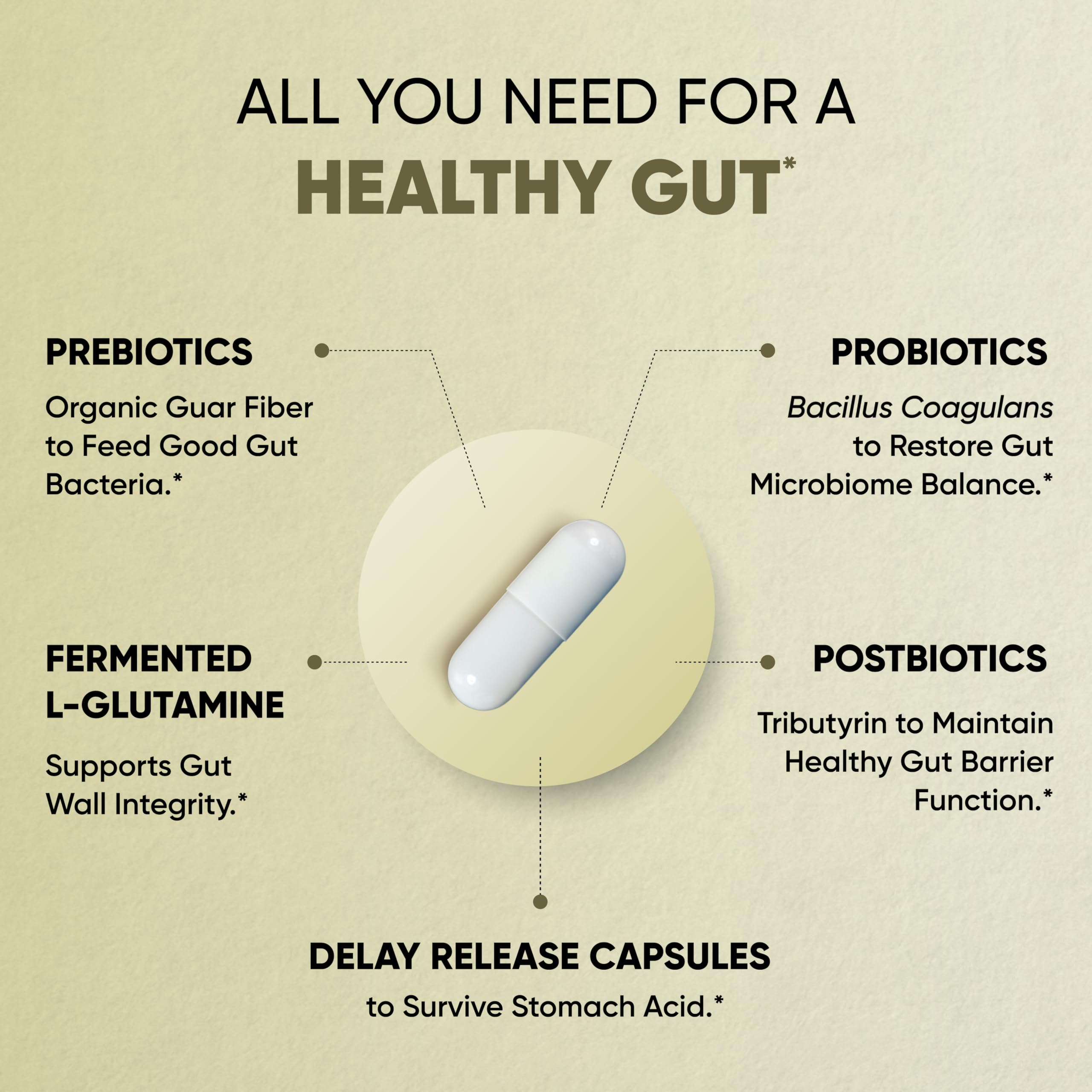 L-glutamine and other gut health ingredients