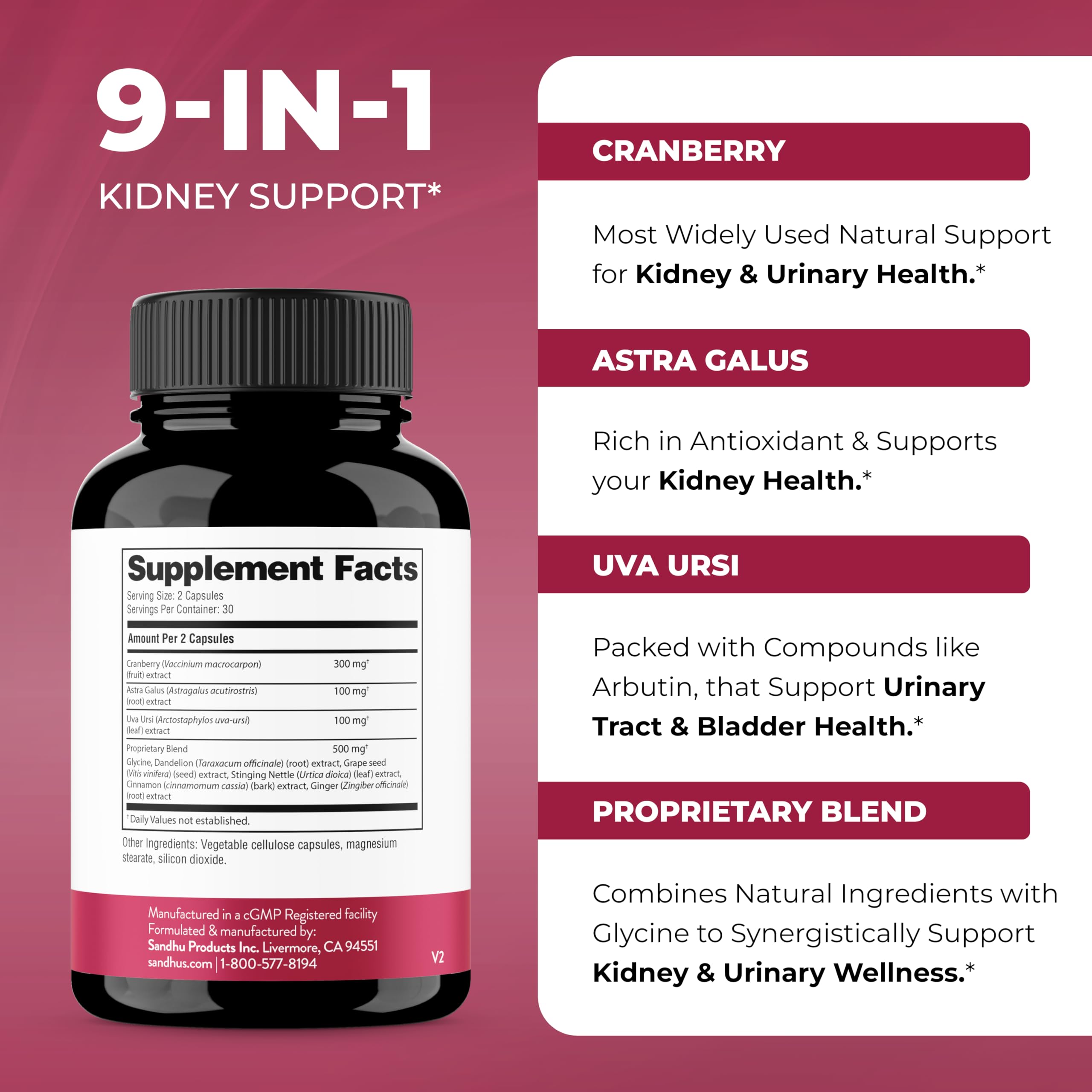 Cranberry Extract and kidney support imagery