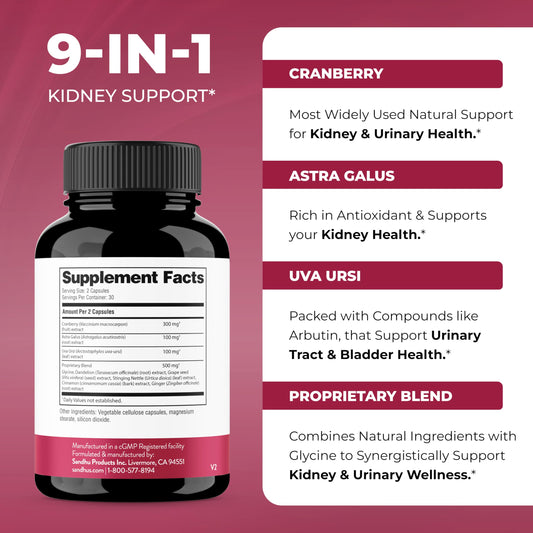 Cranberry Extract and kidney support imagery