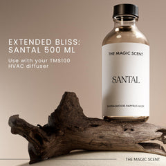 Notes diagram for Santal Diffuser Oil