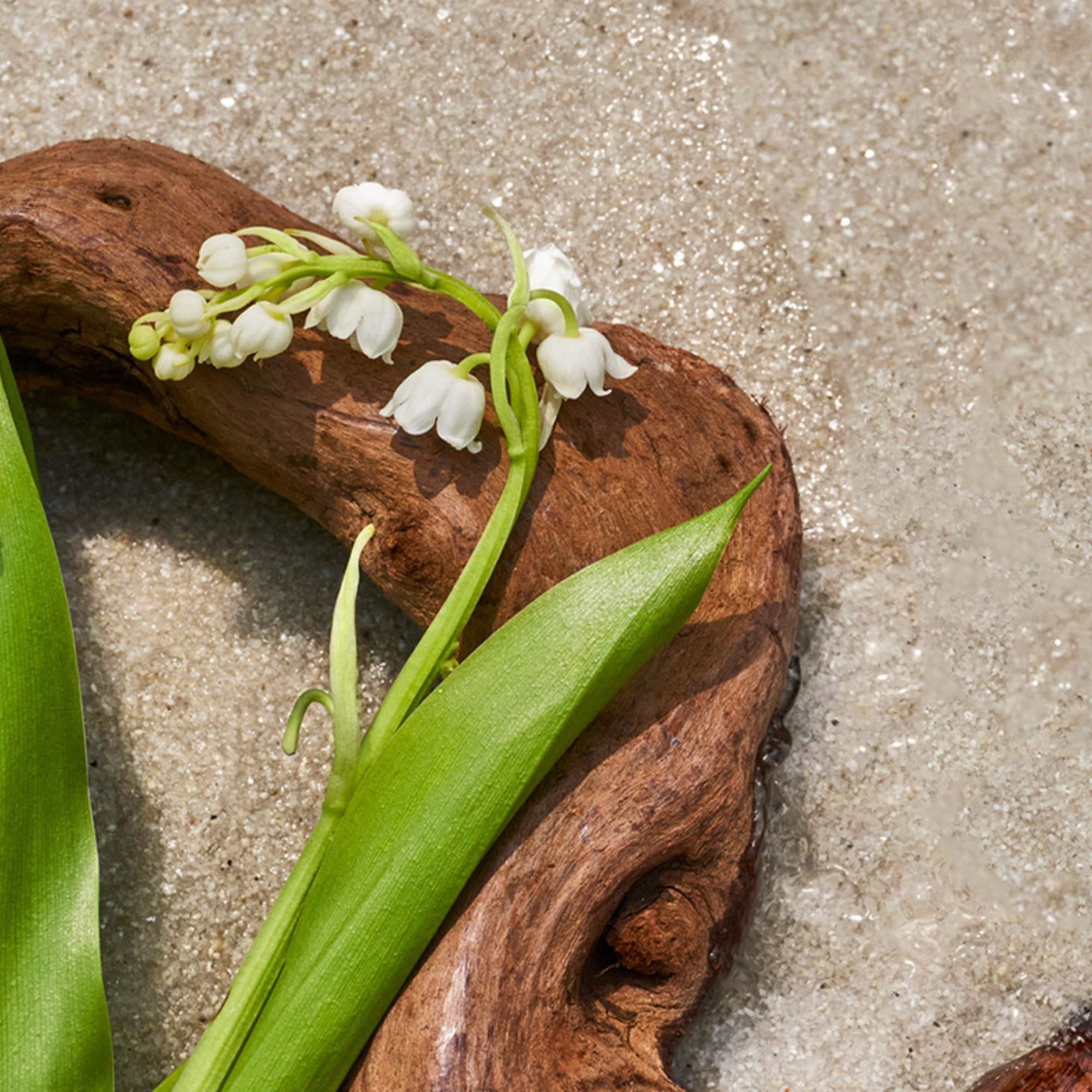 Ocean air motif representing coastal fragrance