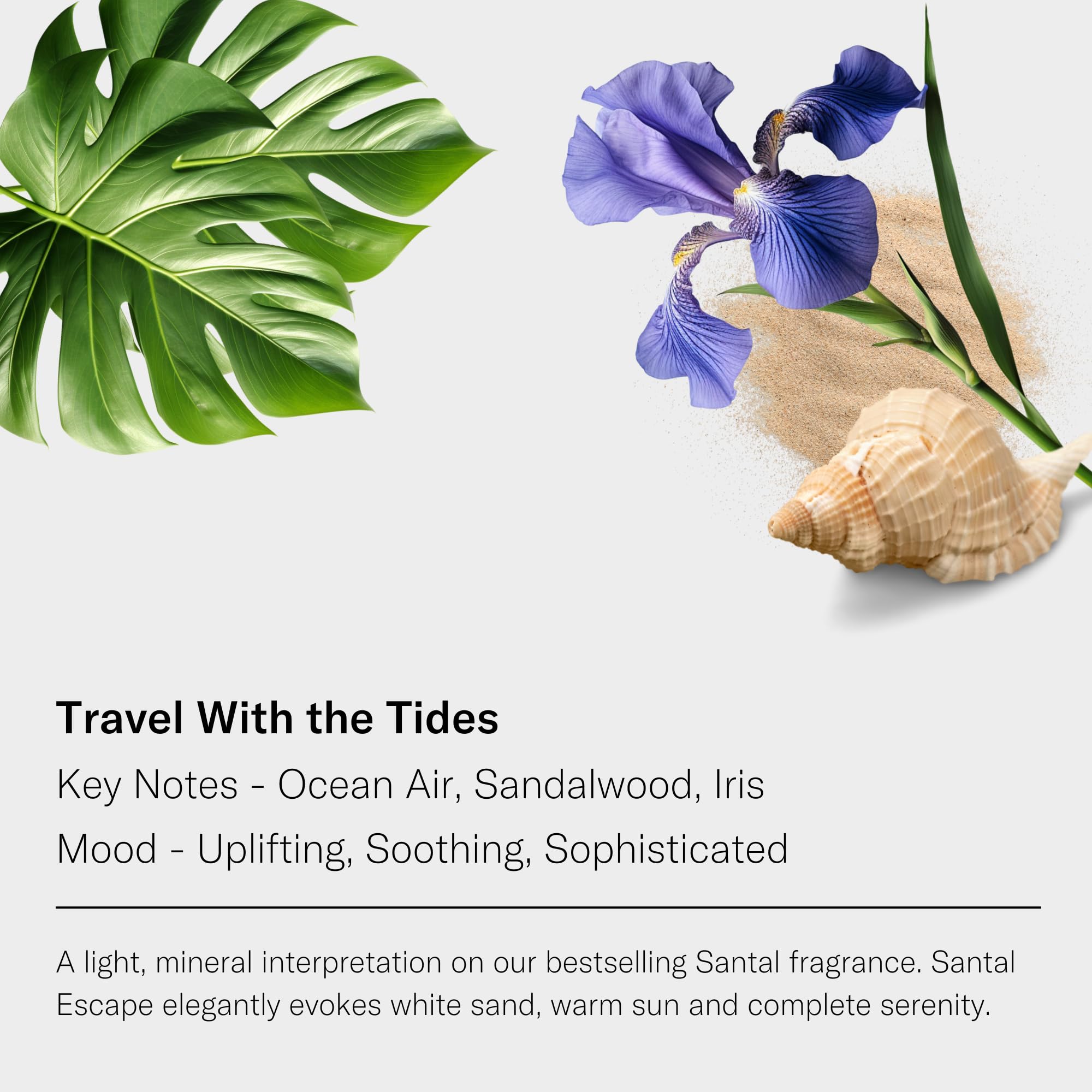 Visual collage of Ocean Air, Sandalwood, and Iris notes