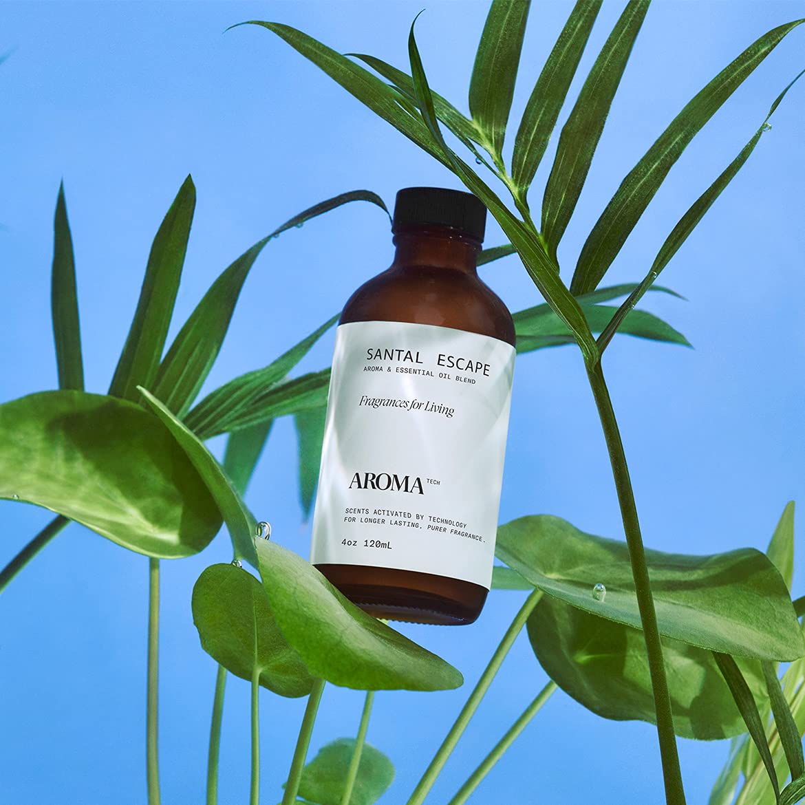 Relaxing spa-like room ambience with Santal Escape