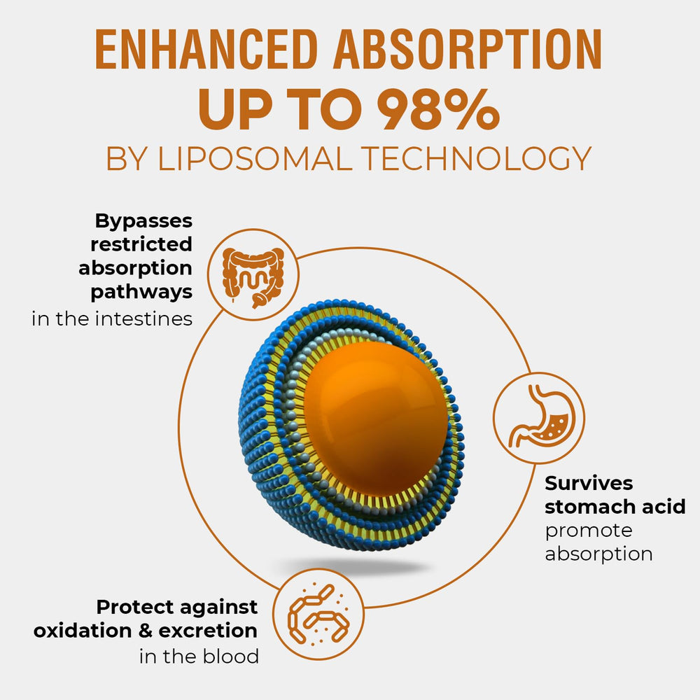 Graphic illustrating liposome technology and stable delivery of the tincture.