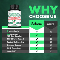 Lions Mane and Ginkgo Biloba in supplement - ingredient detail