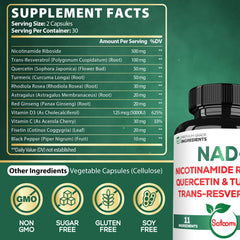 NAD supplement ingredients list: NR, Trans-Resveratrol, Quercetin, Turmeric Curcumin, Rhodiola, Astragalus, Ginseng, Vitamin D3, Vitamin C, Fisetin, Black Pepper