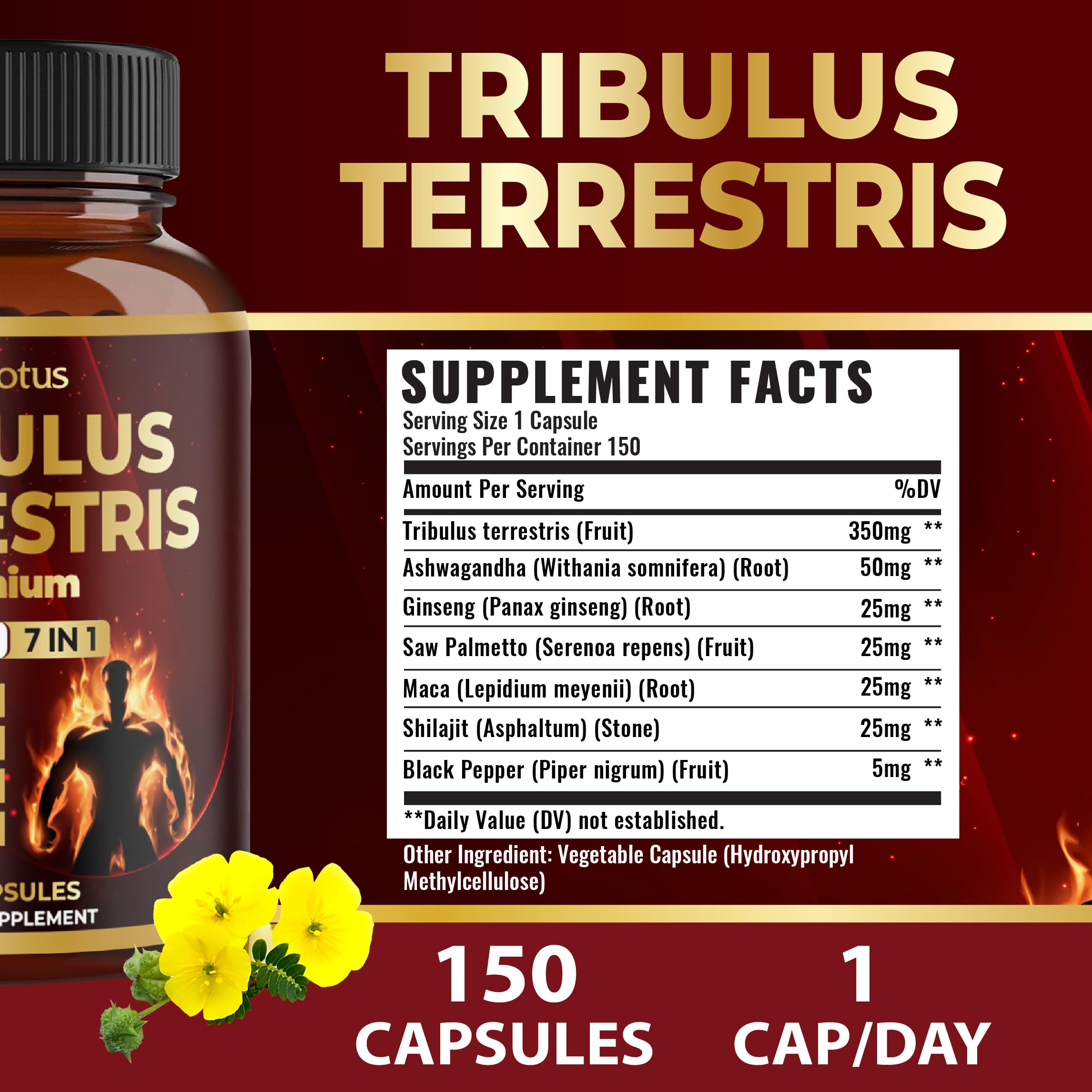 Saw Palmetto, Maca, Shilajit and Black Pepper ingredients