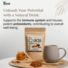 Chaga powder in a wooden scoop over rustic background