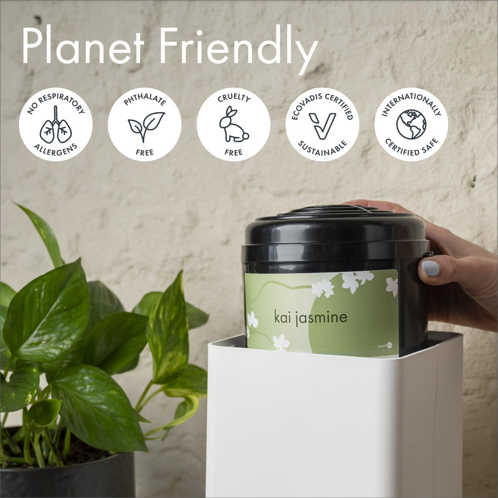 Whisper Home with Wi-Fi and Bluetooth indicators lit
