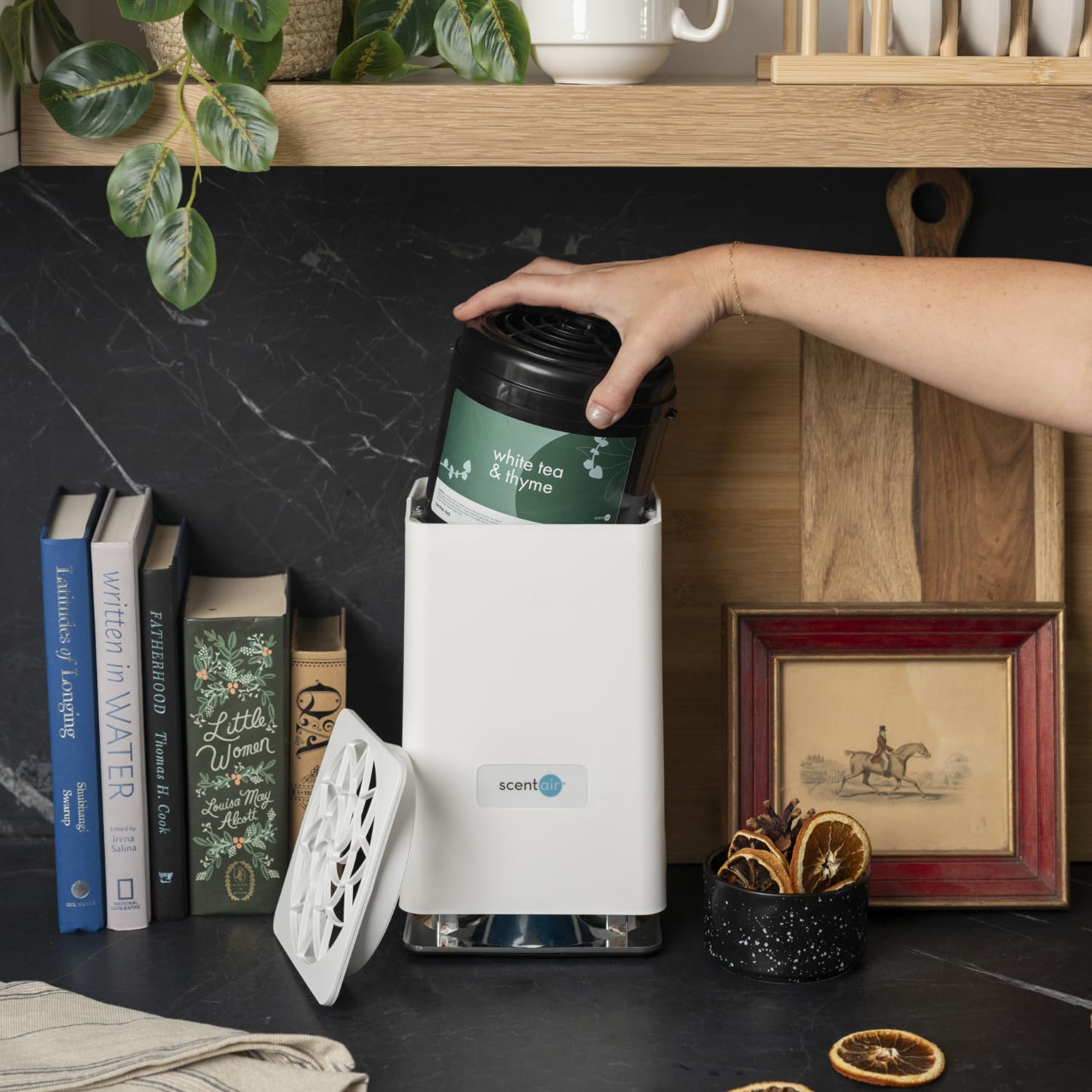 Whisper Home size comparison with common household items