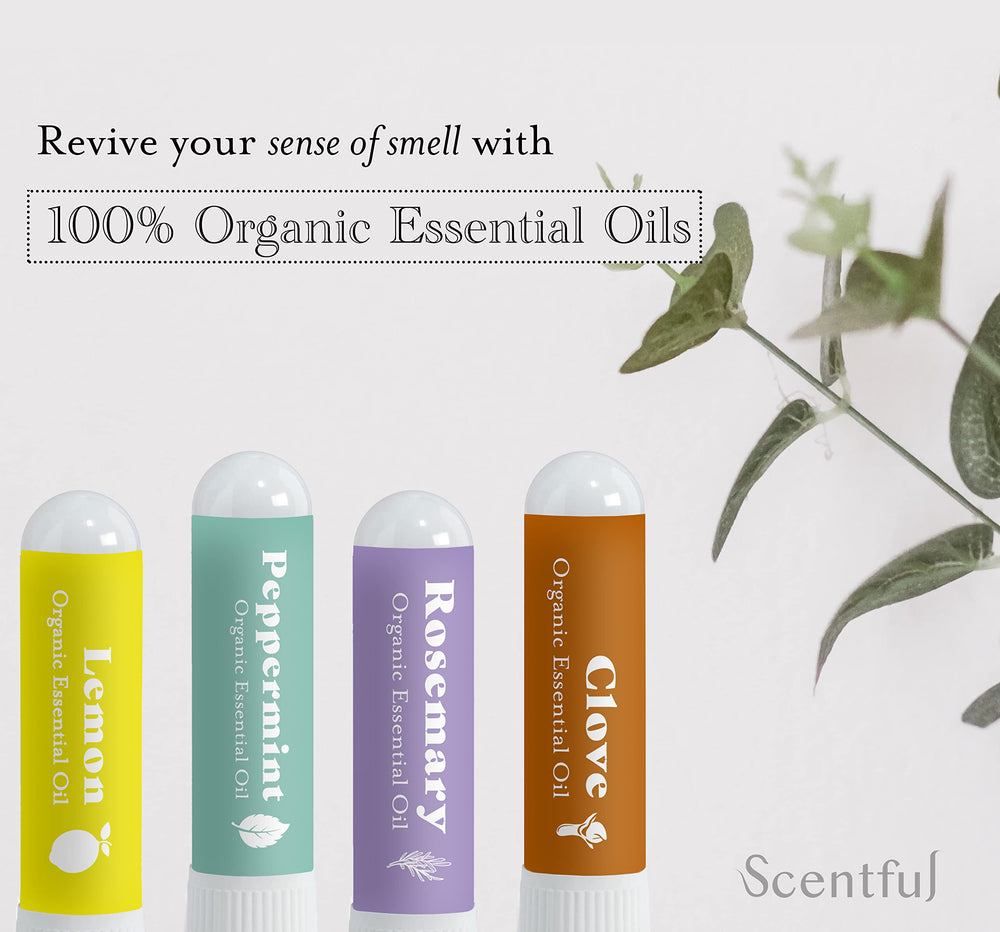 Scentful Smell Training Kit – Smell Retraining Therapy | Restore Sense ...