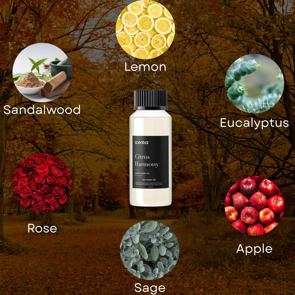 Diffuser with Citrus Harmony aroma in a bright room