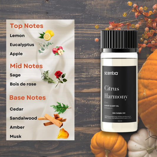 Compact diffuser bottle with Citrus Harmony oil