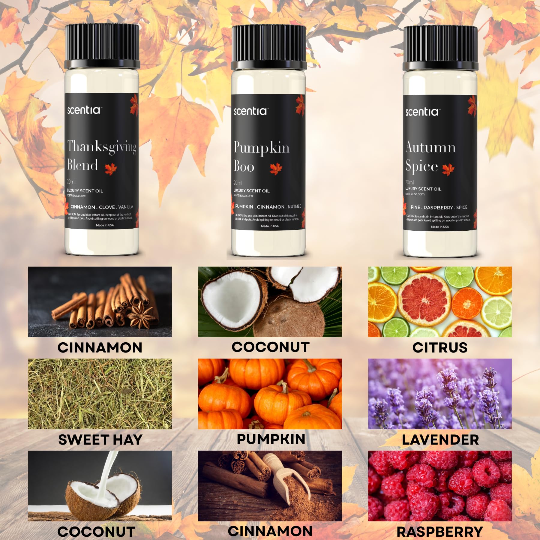 Pumpkin Boo 20ml bottle from Scentia Fall Essential Oils Set.