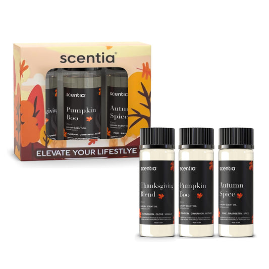 Top view of Scentia Fall Essential Oils Set with three 20ml bottles.